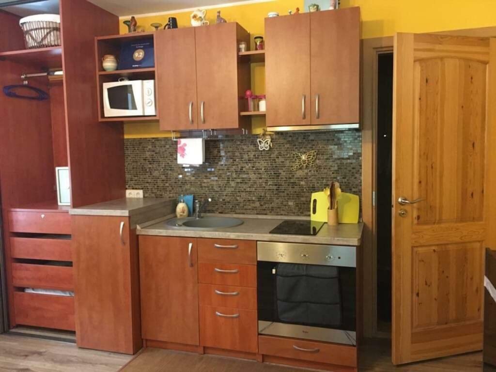 Du Draugai Apartment Ντρουσκινινκάι Εξωτερικό φωτογραφία